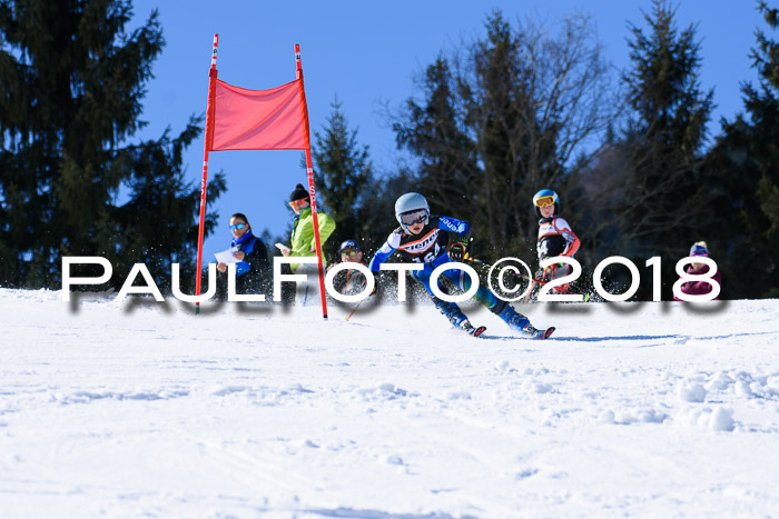 5. WF Ziener Cup + WFM, Steckenberg, 04.03.2018