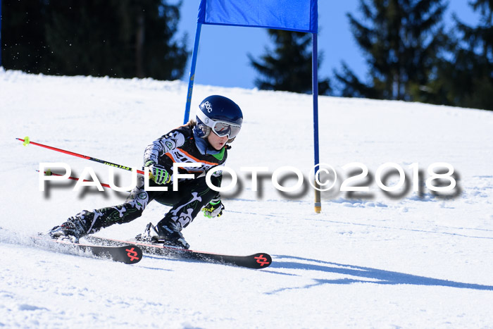 5. WF Ziener Cup + WFM, Steckenberg, 04.03.2018