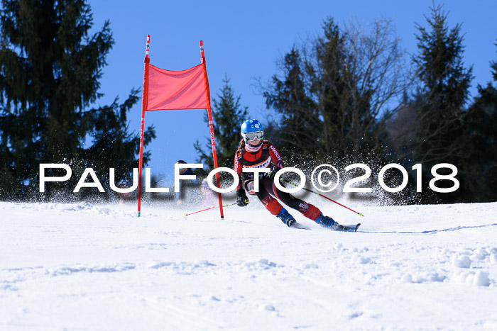 5. WF Ziener Cup + WFM, Steckenberg, 04.03.2018