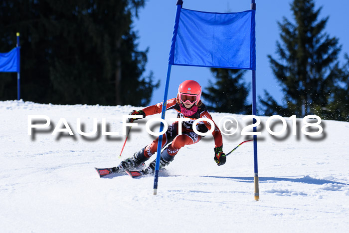 5. WF Ziener Cup + WFM, Steckenberg, 04.03.2018