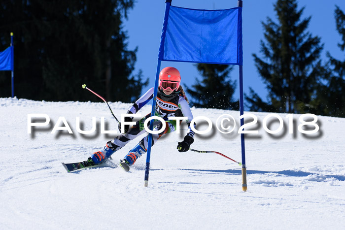 5. WF Ziener Cup + WFM, Steckenberg, 04.03.2018