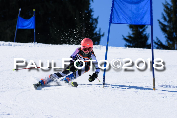 5. WF Ziener Cup + WFM, Steckenberg, 04.03.2018