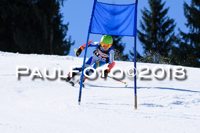 5. WF Ziener Cup + WFM, Steckenberg, 04.03.2018