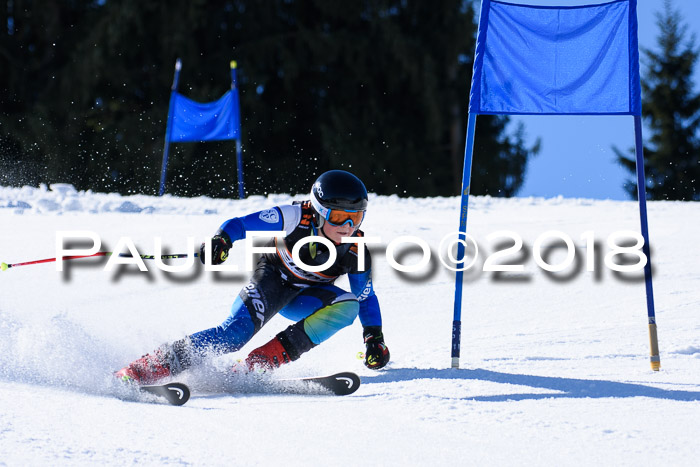 5. WF Ziener Cup + WFM, Steckenberg, 04.03.2018