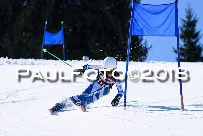 5. WF Ziener Cup + WFM, Steckenberg, 04.03.2018