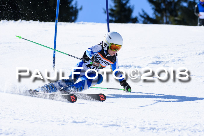 5. WF Ziener Cup + WFM, Steckenberg, 04.03.2018