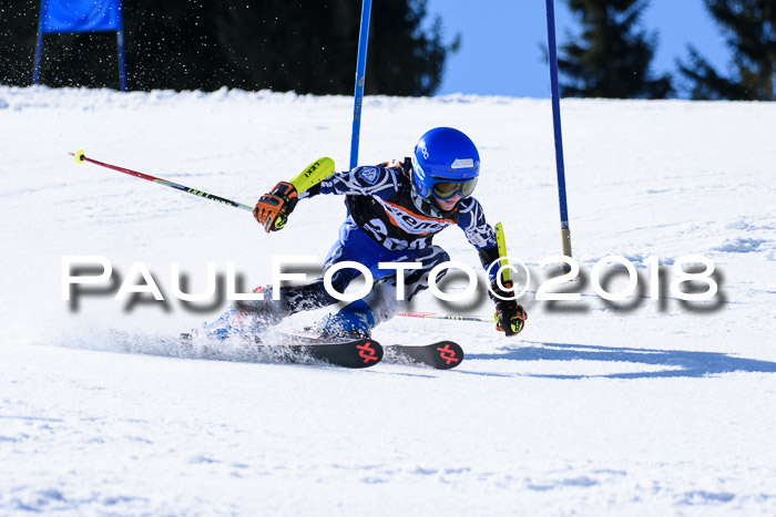 5. WF Ziener Cup + WFM, Steckenberg, 04.03.2018