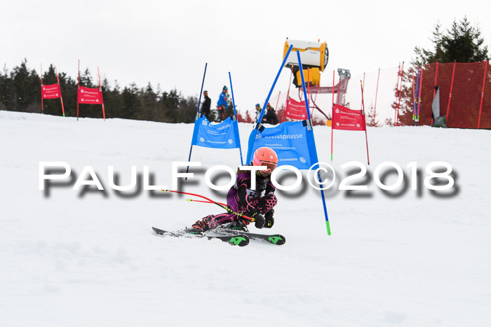 DSV Schülercup U12 Finale PSL, Team, Siegerehrungen, 12.03.2018