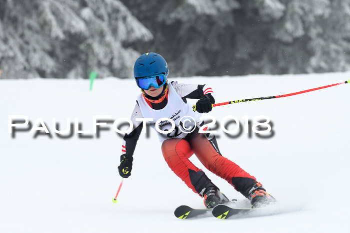 Werdenfelser Kinderskitag, Bambini +Kinder JG 2007, 18.03.2018