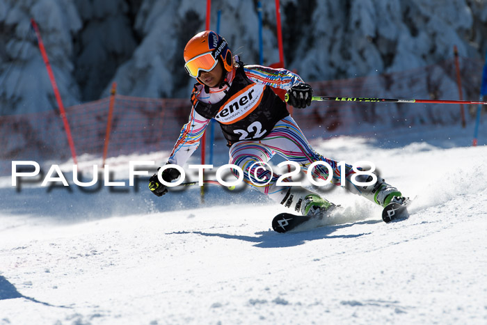 Ziener Cup WF, Finale, Quali + Parallelslalom, 24.03.2018