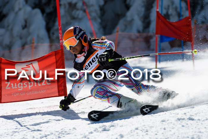 Ziener Cup WF, Finale, Quali + Parallelslalom, 24.03.2018