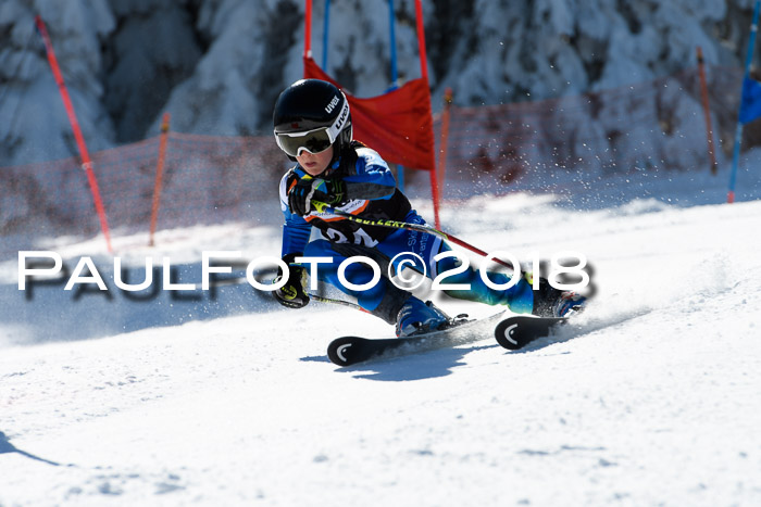 Ziener Cup WF, Finale, Quali + Parallelslalom, 24.03.2018