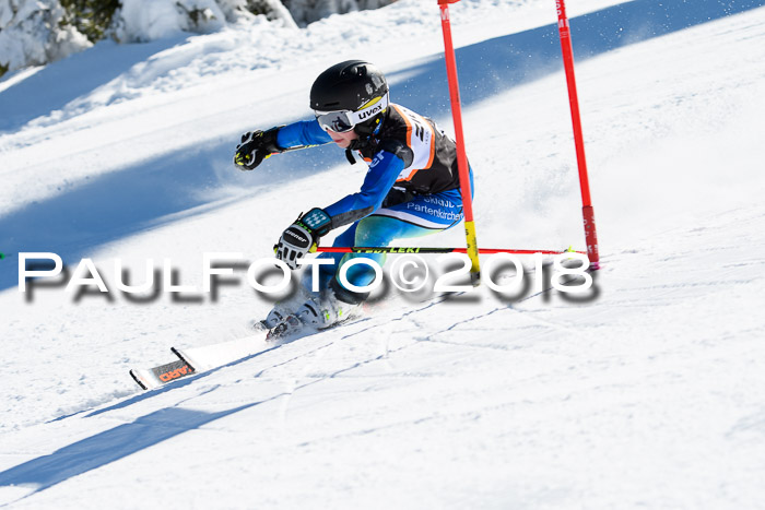 Ziener Cup WF, Finale, Quali + Parallelslalom, 24.03.2018