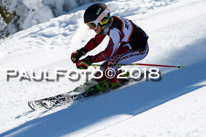 Ziener Cup WF, Finale, Quali + Parallelslalom, 24.03.2018