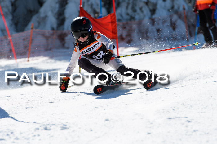 Ziener Cup WF, Finale, Quali + Parallelslalom, 24.03.2018