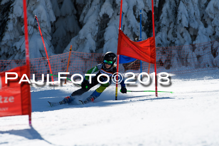 Ziener Cup WF, Finale, Quali + Parallelslalom, 24.03.2018