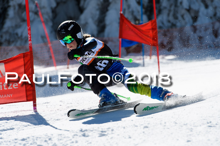 Ziener Cup WF, Finale, Quali + Parallelslalom, 24.03.2018