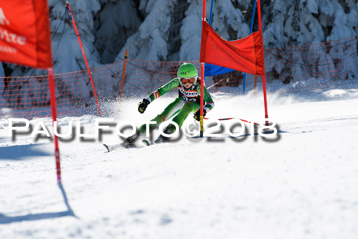 Ziener Cup WF, Finale, Quali + Parallelslalom, 24.03.2018