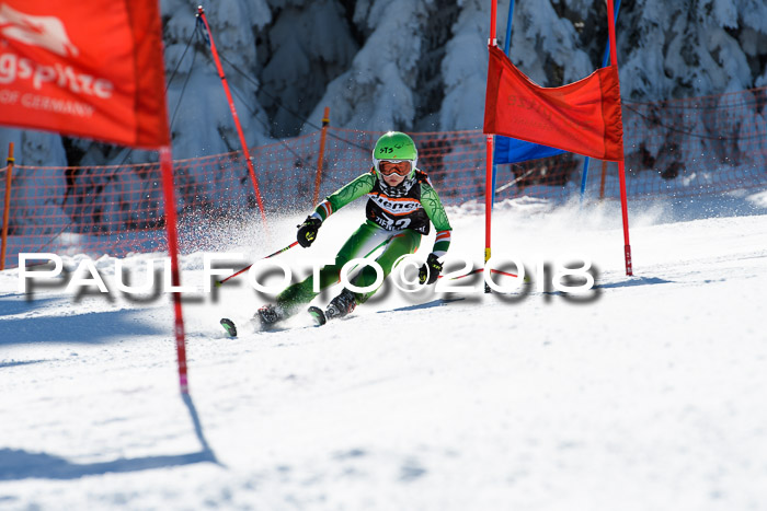 Ziener Cup WF, Finale, Quali + Parallelslalom, 24.03.2018