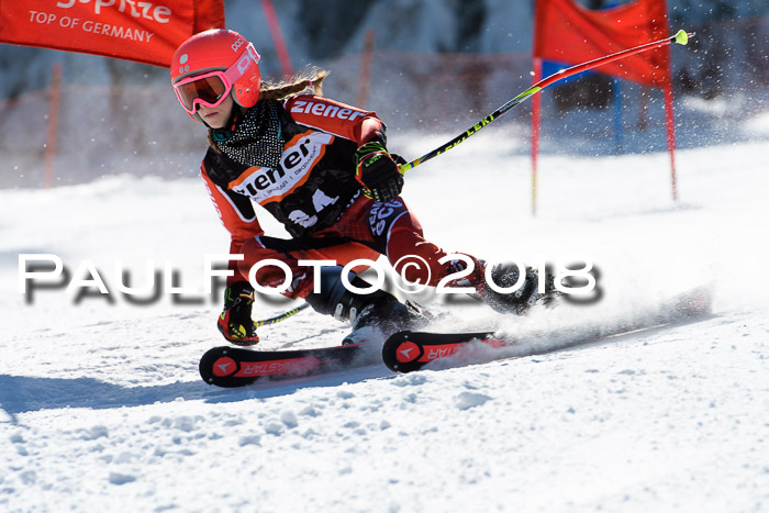 Ziener Cup WF, Finale, Quali + Parallelslalom, 24.03.2018