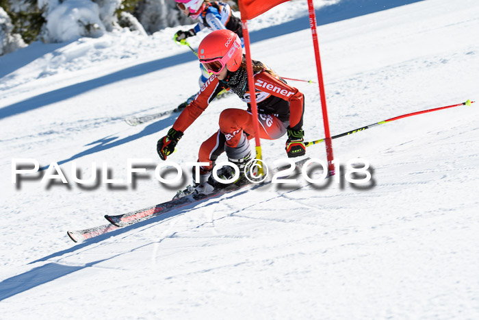 Ziener Cup WF, Finale, Quali + Parallelslalom, 24.03.2018