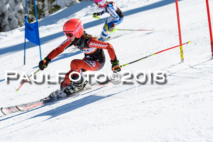 Ziener Cup WF, Finale, Quali + Parallelslalom, 24.03.2018