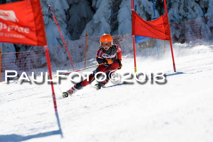 Ziener Cup WF, Finale, Quali + Parallelslalom, 24.03.2018