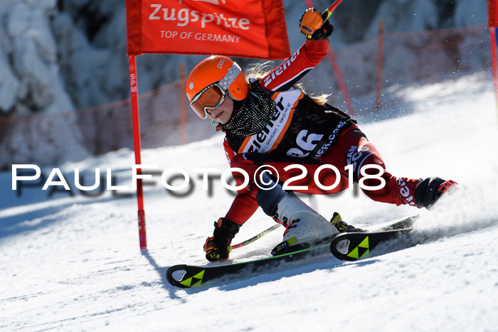 Ziener Cup WF, Finale, Quali + Parallelslalom, 24.03.2018