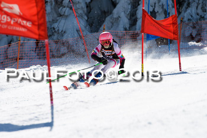 Ziener Cup WF, Finale, Quali + Parallelslalom, 24.03.2018