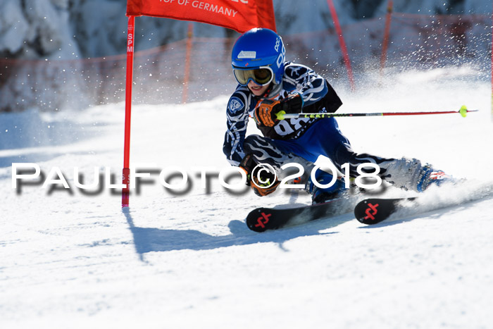 Ziener Cup WF, Finale, Quali + Parallelslalom, 24.03.2018