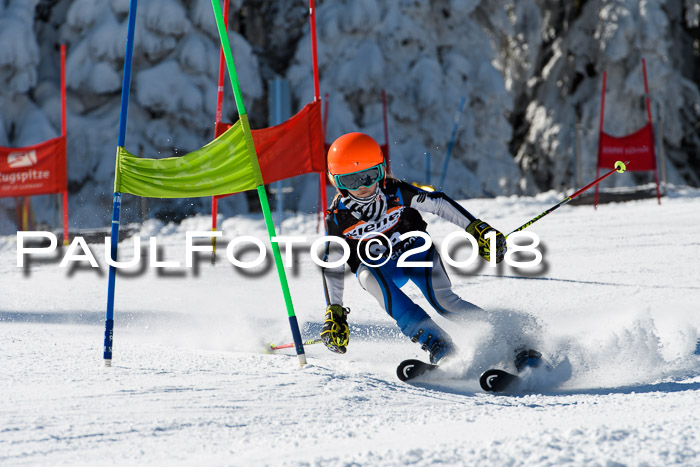 Ziener Cup WF, Finale, Quali + Parallelslalom, 24.03.2018