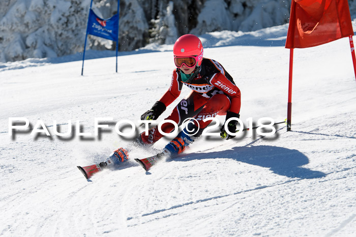 Ziener Cup WF, Finale, Quali + Parallelslalom, 24.03.2018