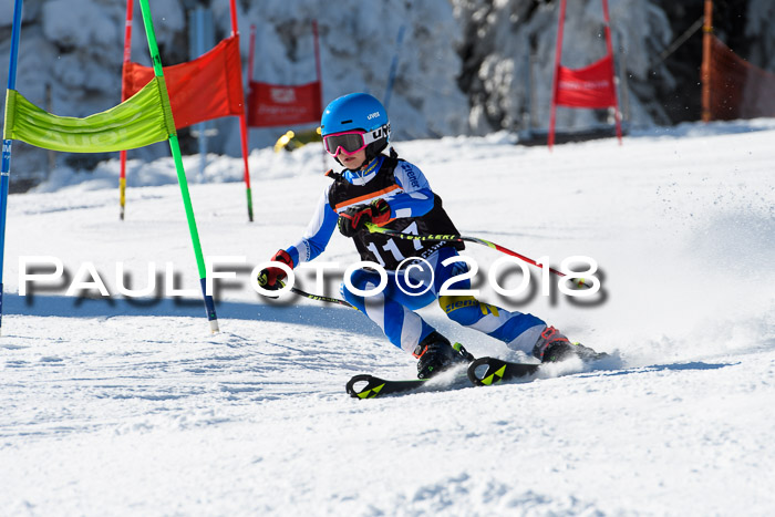 Ziener Cup WF, Finale, Quali + Parallelslalom, 24.03.2018