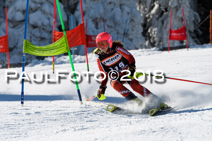 Ziener Cup WF, Finale, Quali + Parallelslalom, 24.03.2018