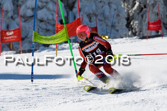 Ziener Cup WF, Finale, Quali + Parallelslalom, 24.03.2018