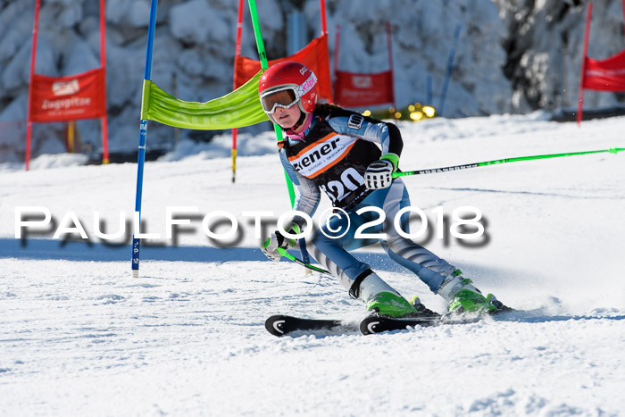 Ziener Cup WF, Finale, Quali + Parallelslalom, 24.03.2018