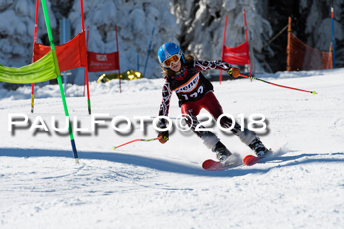 Ziener Cup WF, Finale, Quali + Parallelslalom, 24.03.2018