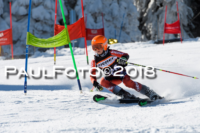 Ziener Cup WF, Finale, Quali + Parallelslalom, 24.03.2018