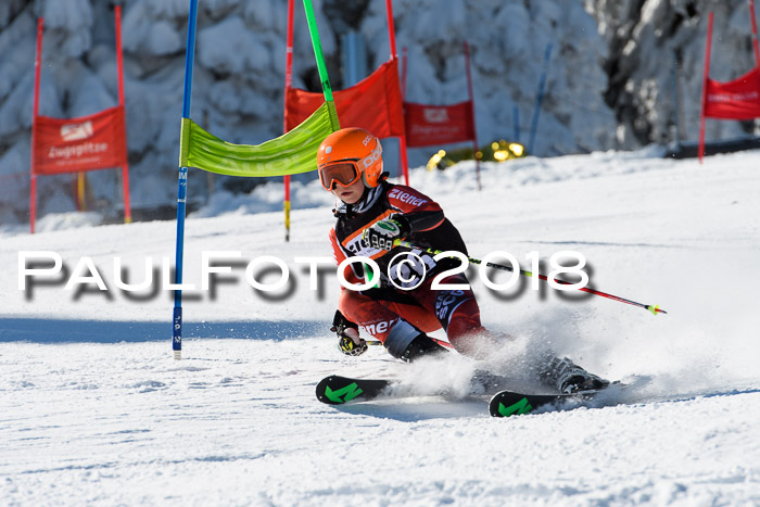 Ziener Cup WF, Finale, Quali + Parallelslalom, 24.03.2018