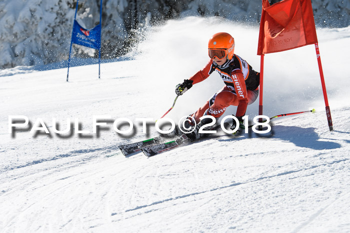 Ziener Cup WF, Finale, Quali + Parallelslalom, 24.03.2018