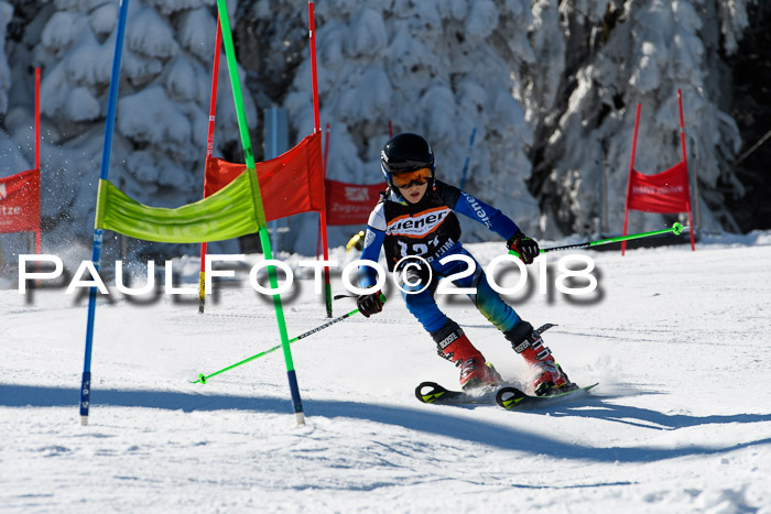 Ziener Cup WF, Finale, Quali + Parallelslalom, 24.03.2018