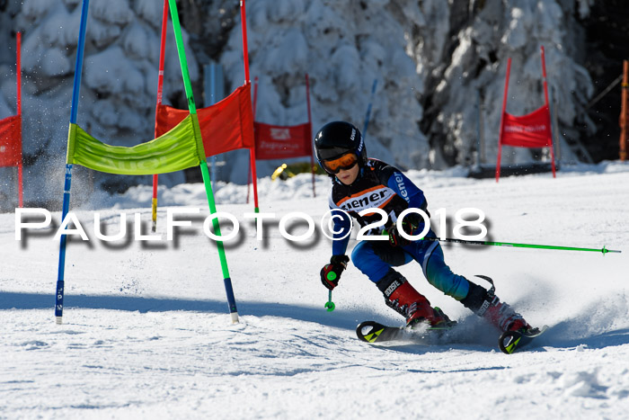 Ziener Cup WF, Finale, Quali + Parallelslalom, 24.03.2018