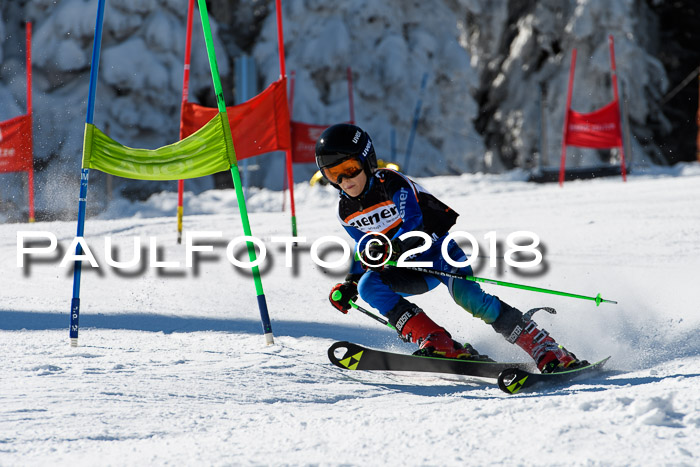 Ziener Cup WF, Finale, Quali + Parallelslalom, 24.03.2018