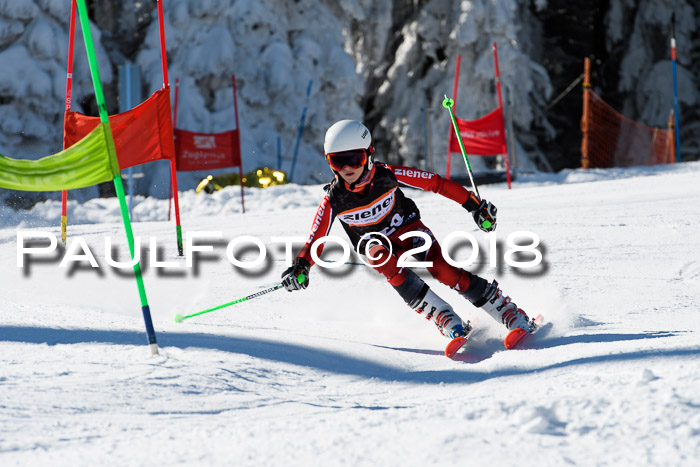 Ziener Cup WF, Finale, Quali + Parallelslalom, 24.03.2018