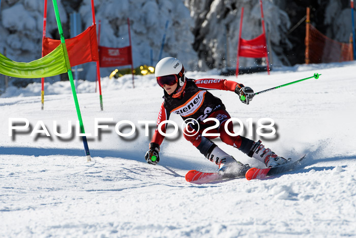 Ziener Cup WF, Finale, Quali + Parallelslalom, 24.03.2018