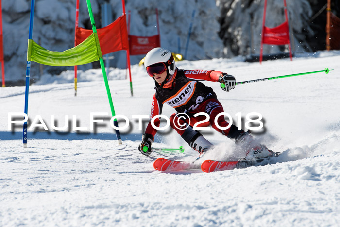 Ziener Cup WF, Finale, Quali + Parallelslalom, 24.03.2018