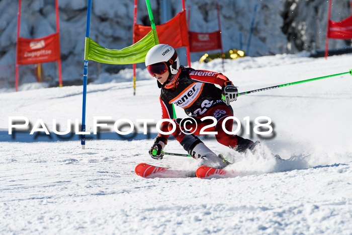 Ziener Cup WF, Finale, Quali + Parallelslalom, 24.03.2018