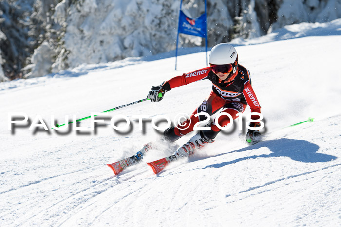 Ziener Cup WF, Finale, Quali + Parallelslalom, 24.03.2018