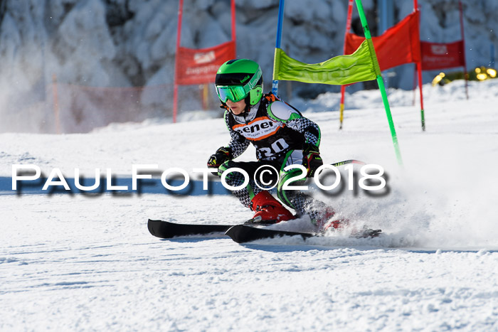 Ziener Cup WF, Finale, Quali + Parallelslalom, 24.03.2018