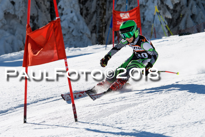 Ziener Cup WF, Finale, Quali + Parallelslalom, 24.03.2018